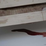 Body Leaks (detail)